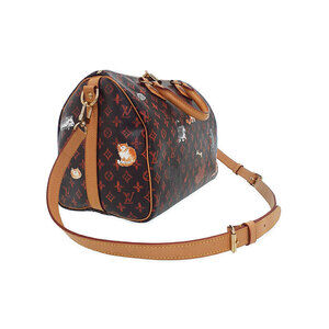 Louis Vuitton Bag Bandouliere Catgram Speedy